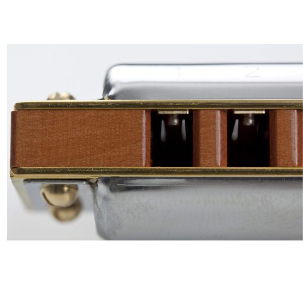 ARMONICA A BOCCA HOHNER MARINE BAND Deluxe 2005 / 20 IN C, D - immagine 2