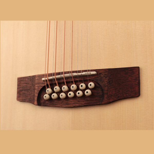 Chitarra Acustica Cort GAMEDX12EOP