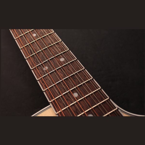 Chitarra Acustica Cort GAMEDX12EOP