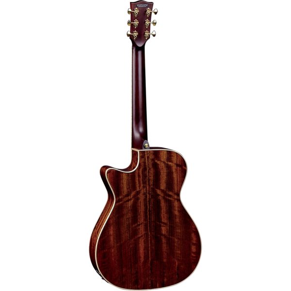 CHITARRA ACUSTICA EKO MIA A400 CE AMPLIFICATA Fishman Flex Blend - immagine 2