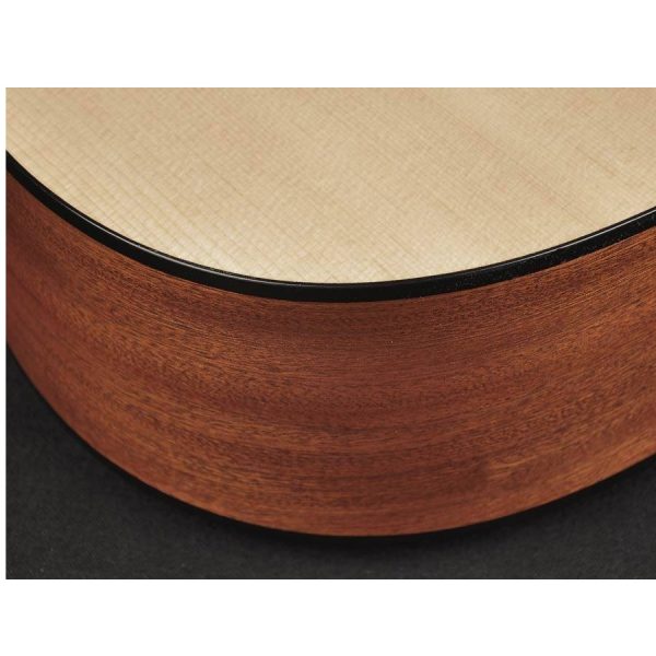 CHITARRA ACUSTICA RICHWOOD A20 CASSA STRETTA - immagine 7