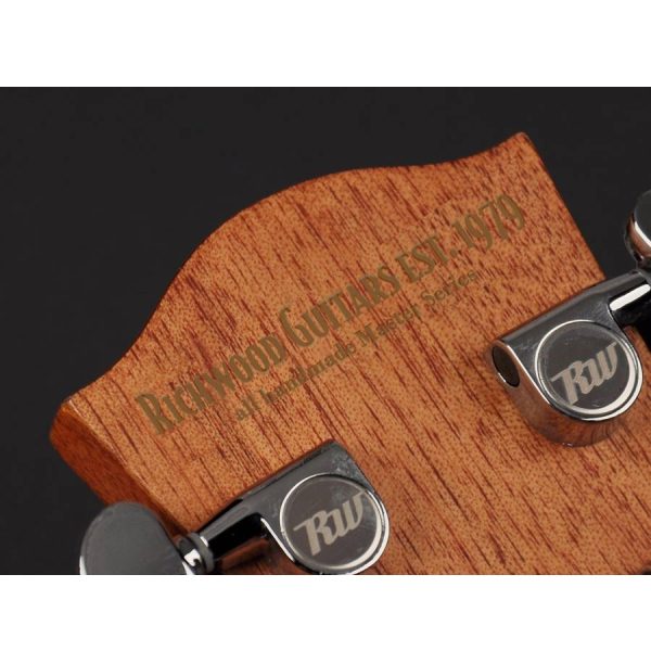 CHITARRA ACUSTICA RICHWOOD A60CE AMPLIFICATA FISHMAN - immagine 6