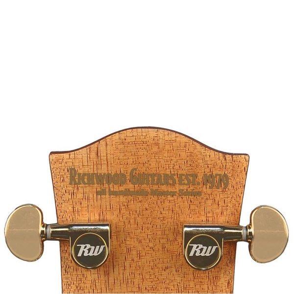 CHITARRA ACUSTICA RICHWOOD A70E-VA CASSA STRETTA AMPLIFICATA FISHMAN - immagine 12