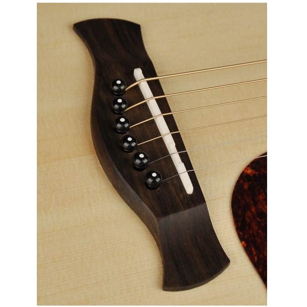 CHITARRA ACUSTICA RICHWOOD D20CE MASTER SERIES AMPLIFICATA - immagine 4