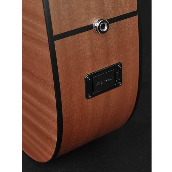 CHITARRA ACUSTICA RICHWOOD D20CE MASTER SERIES AMPLIFICATA - immagine 7
