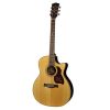 CHITARRA ACUSTICA RICHWOOD G65CE VA AMPLIFICATA FISHMAN