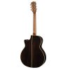 CHITARRA ACUSTICA RICHWOOD G65CE VA AMPLIFICATA FISHMAN - immagine 3