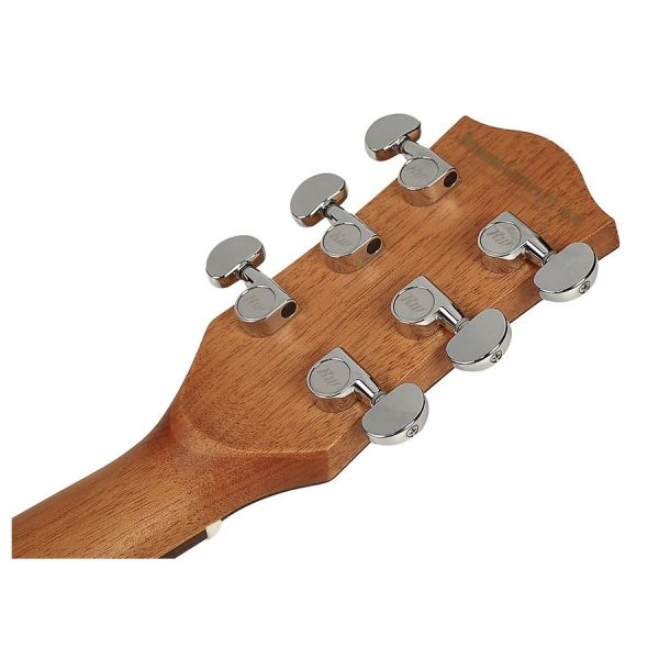 CHITARRA ACUSTICA RICHWOOD SWG110-CE AMPLIFICATA FISHMAN - immagine 2
