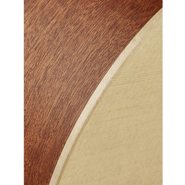 CHITARRA ACUSTICA RICHWOOD SWG110-CE AMPLIFICATA FISHMAN - immagine 4