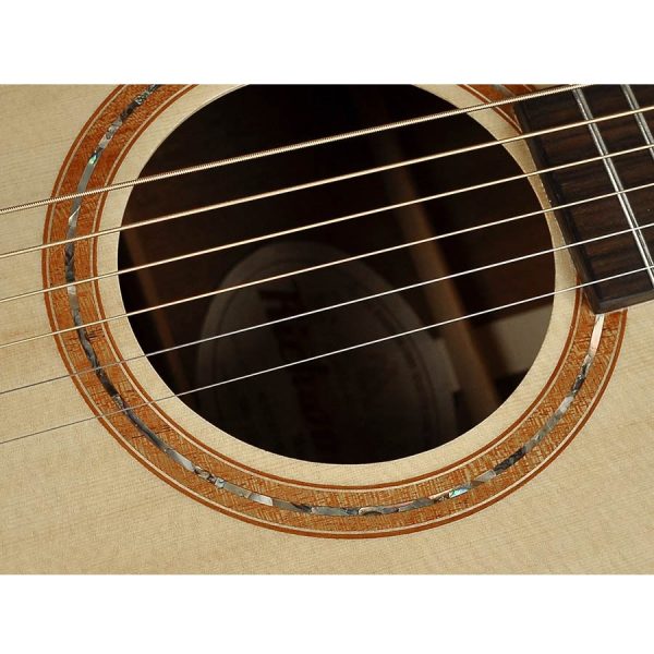 CHITARRA ACUSTICA RICHWOOD SWG110-CE AMPLIFICATA FISHMAN - immagine 5