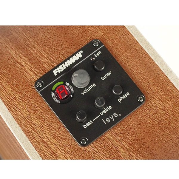 CHITARRA ACUSTICA RICHWOOD SWG110-CE AMPLIFICATA FISHMAN - immagine 7