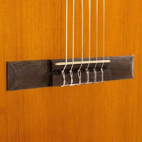 CHITARRA CLASSICA TAKAMINE GSC1CE NG AMPLIFICATA - immagine 4
