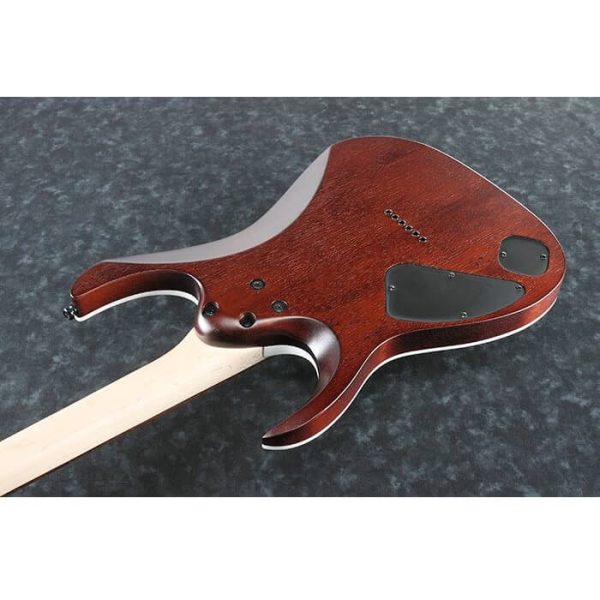 CHITARRA ELETTRICA IBANEZ RGA42FM DEF Dragon Eye Burst Flat - immagine 2