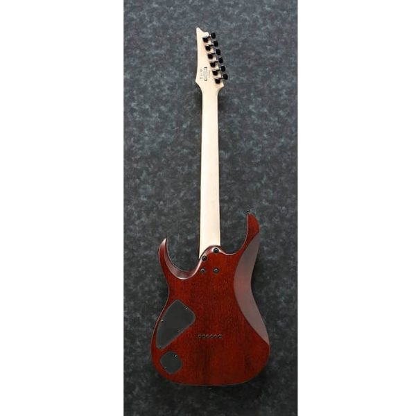 CHITARRA ELETTRICA IBANEZ RGA42FM DEF Dragon Eye Burst Flat - immagine 4