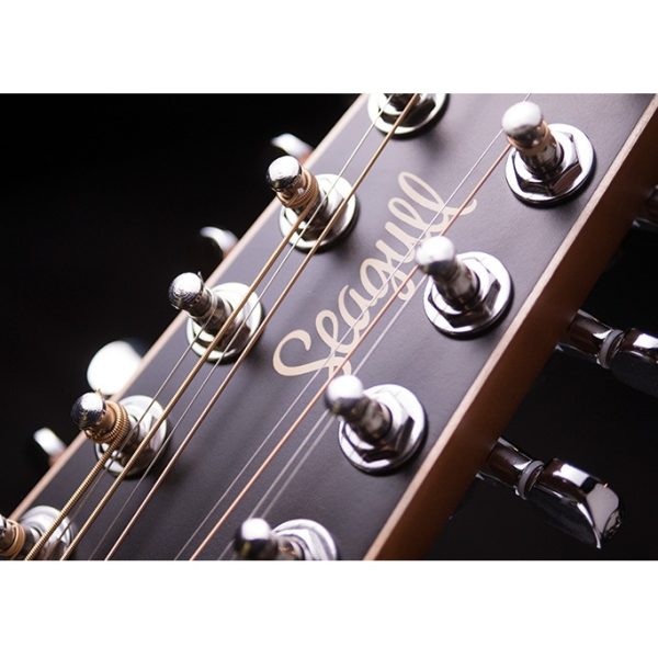 Chitarra Acustica Seagull COASTLINE CEDAR 12 QIT Amplificata Godin 12 corde - immagine 6