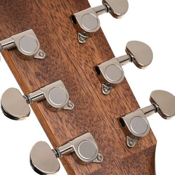 Chitarra Acustica Cort EARTH100RW