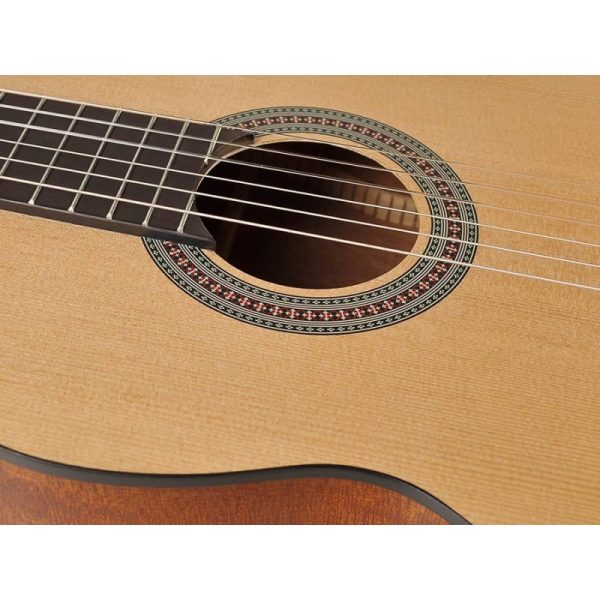 Chitarra Classica Salvador CS-244 da studio - immagine 3