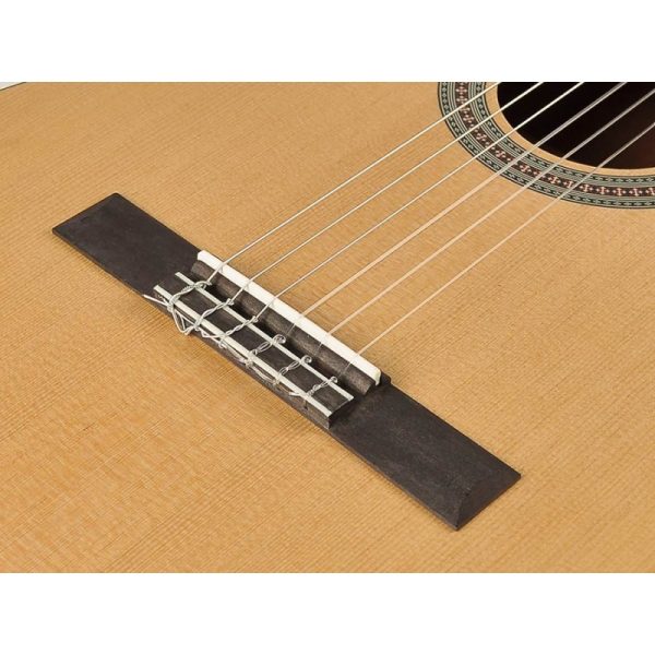 Chitarra Classica Salvador CS-244 da studio - immagine 5
