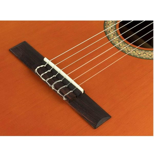 Chitarra Classica Salvador Cortez Luna C Serie Iberia 4/4 - immagine 6