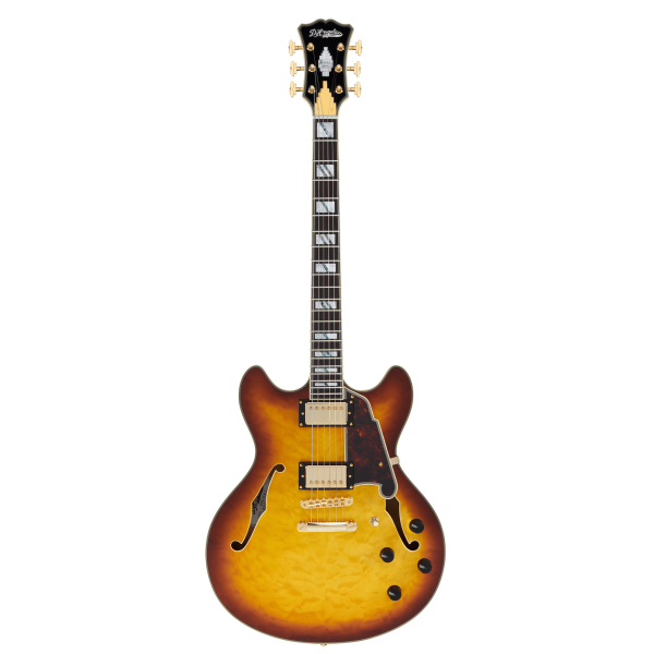 Chitarra Semiacustica D'Angelico Excel-DC-XT da Jazz