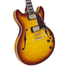 Chitarra Semiacustica D'Angelico Excel-DC-XT da Jazz - immagine 5