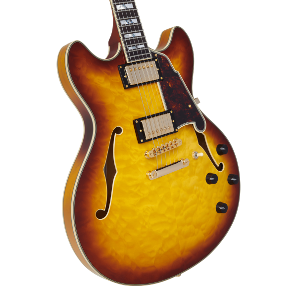 Chitarra Semiacustica D'Angelico Excel-DC-XT da Jazz - immagine 5