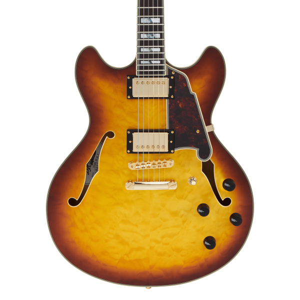 Chitarra Semiacustica D'Angelico Excel-DC-XT da Jazz - immagine 4