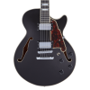 Chitarra Semiacustica D'Angelico Premier SS Black Fake 2022 da Jazz - immagine 3
