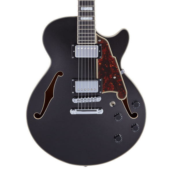 Chitarra Semiacustica D'Angelico Premier SS Black Fake 2022 da Jazz - immagine 3