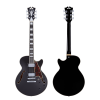 Chitarra Semiacustica D'Angelico Premier SS Black Fake 2022 da Jazz - immagine 5