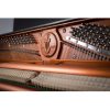 PIANOFORTE ACUSTICO FEURICH 122 Universal VERTICALE A PARETE - immagine 4