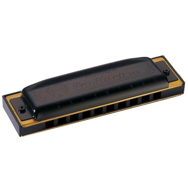 ARMONICA A BOCCA HOHNER PRO HARP 562/20 IN C, D, E, F, A DIATONICA