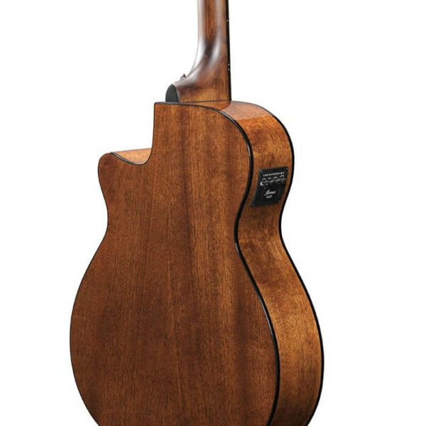 Chitarra Acustica Ibanez AEG61NMH