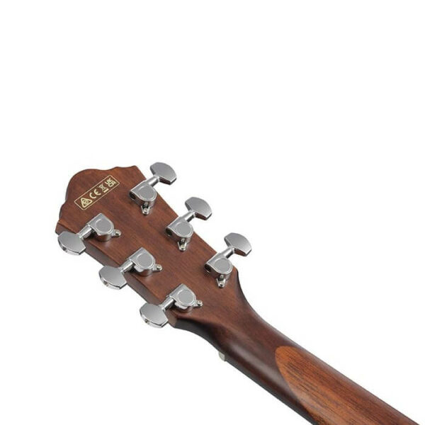 Chitarra Acustica Ibanez AEG61NMH