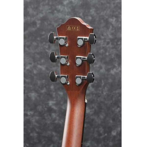 Chitarra Acustica Ibanez AEG70VVH Preamplificata