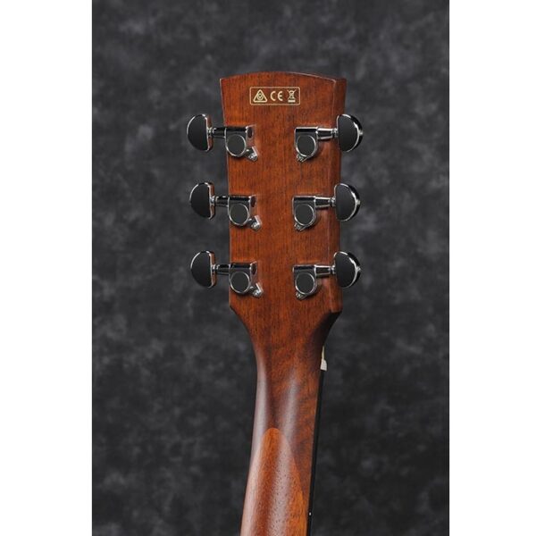 Chitarra Acustica Ibanez PF10CE-OPN Preamplificata