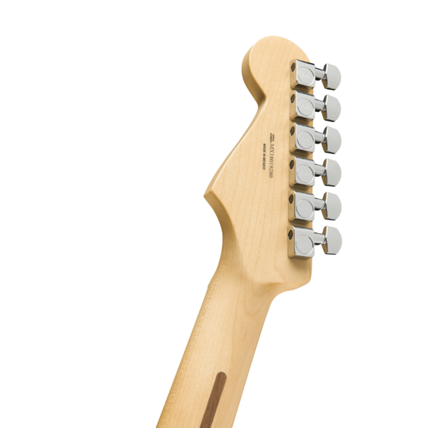 Chitarra Fender Stratocaster Player-MapleSunburst