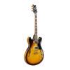 Chitarra Semiacustica Ibanez JSM10EM John Scofield