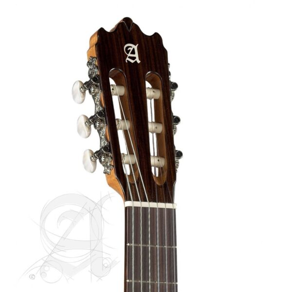 Chitarra Classica Alhambra 3FG