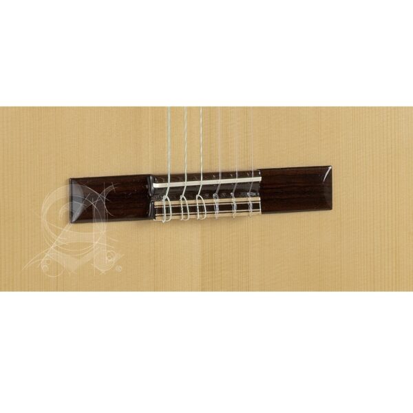 Chitarra Classica Alhambra 3FG