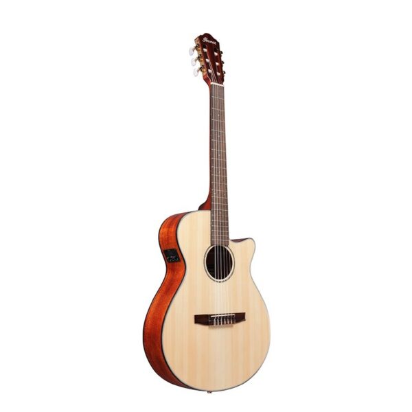 Chitarra Classica Ibanez AEG50NNT Natural High Gloss