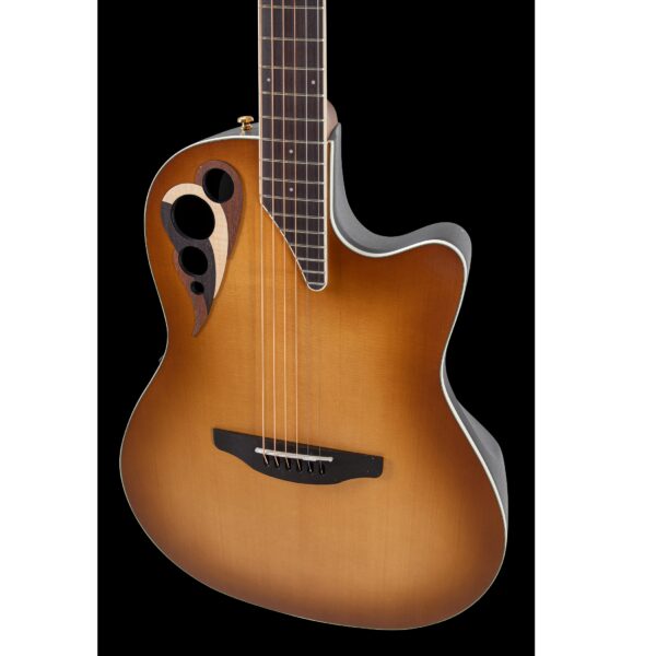 Chitarra Acustica Ovation CDX40PBG