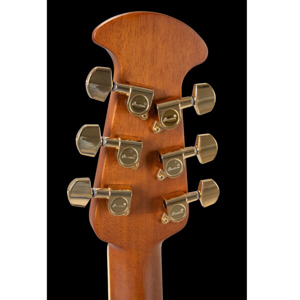 Chitarra Acustica Ovation CDX40PBG