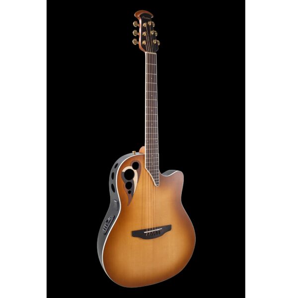 Chitarra Acustica Ovation CDX40PBG