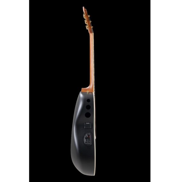 Chitarra Acustica Ovation CDX40PBG