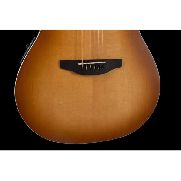 Chitarra Acustica Ovation CDX40PBG